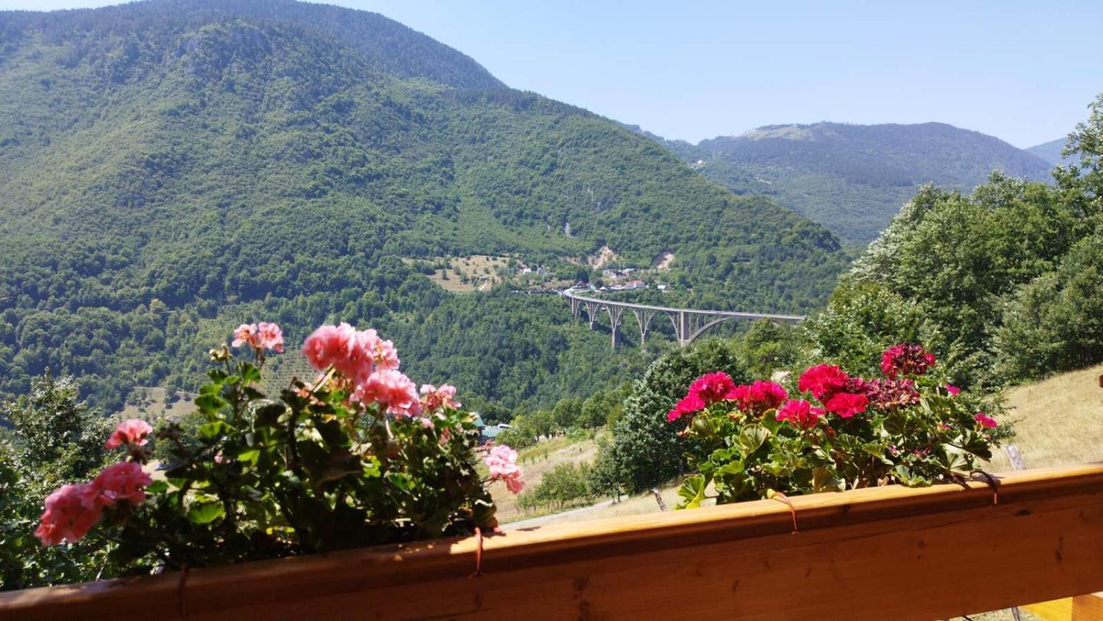 Etno Villas Tara&Petra Žabljak Exterior foto